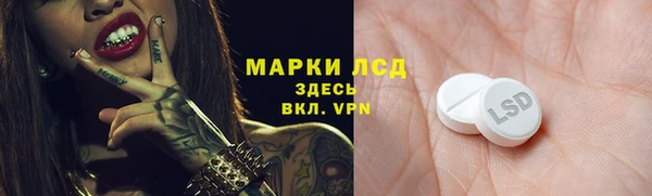 стафф Арсеньев