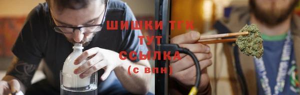 индика Куйбышев