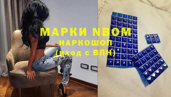 стафф Арсеньев