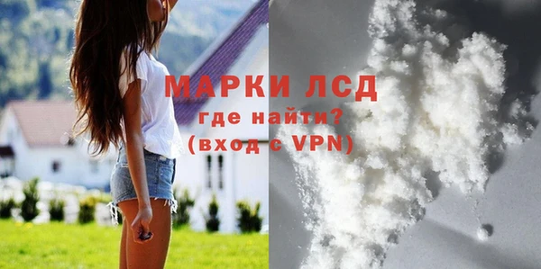 стафф Арсеньев
